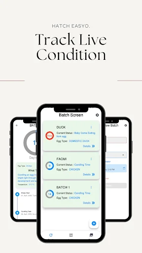 Download Hatch Easy Terbaru – Aplikasi Penetasan Telur Gratis - Screenshot 9