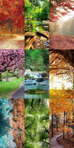 Download Nature Escape HD Wallpapers – Background Alam Gratis - Screenshot 21