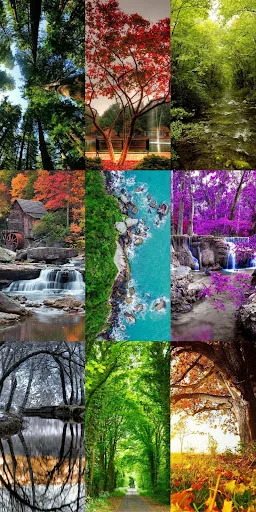 Download Nature Escape HD Wallpapers – Background Alam Gratis - Screenshot 16