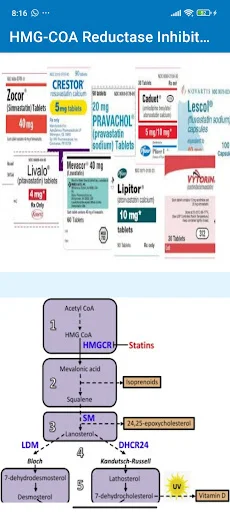 Download Simple Pharmacology Terbaru – Info Obat Medis Lengkap - Screenshot 7