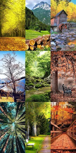 Download Nature Escape HD Wallpapers – Background Alam Gratis - Screenshot 7