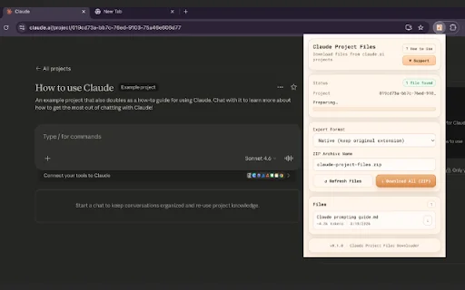 Download Claude Project Downloader – Ekspor File Proyek Gratis - Screenshot 3