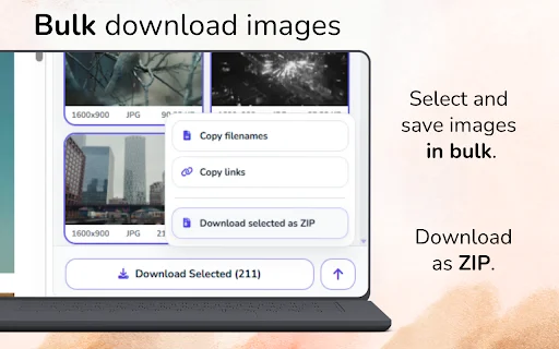 Image Downloader Pro: Download Gambar Massal Tercepat - Screenshot 3
