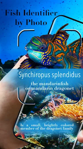 Download Aquarium Fish Terbaru – Panduan Perawatan Ikan Gratis - Screenshot 1