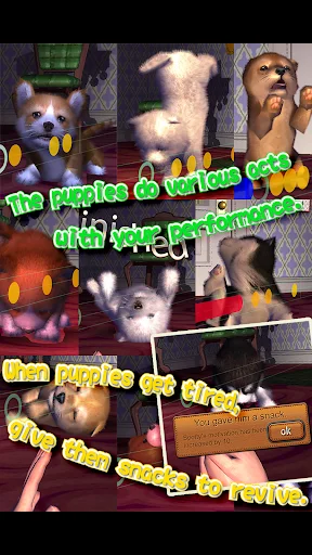 Download Animal Dance Puppies Terbaru – Game Irama Anjing Lucu - Screenshot 3
