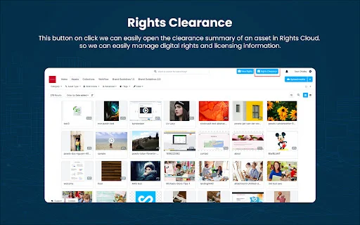 Download Bynder Connector for Brand Vision-Rights Cloud Terbaru - Screenshot 2