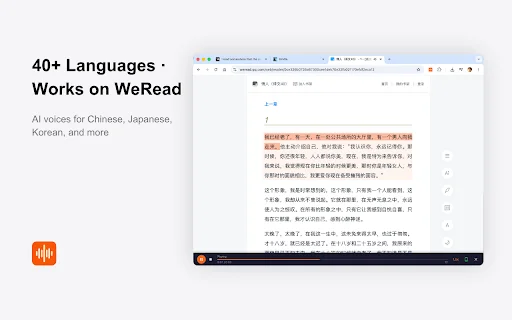 CastReader: Ekstensi TTS Gratis Terbaik untuk Kindle & Web - Screenshot 4