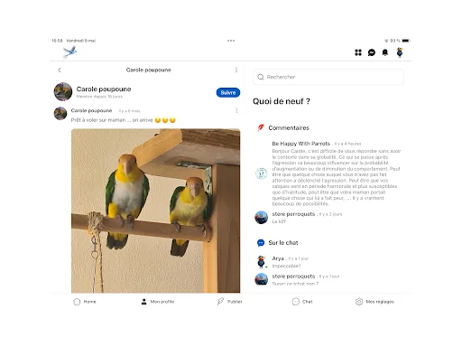 Download Oiseaux2France Terbaru – Komunitas Pecinta Burung - Screenshot 9