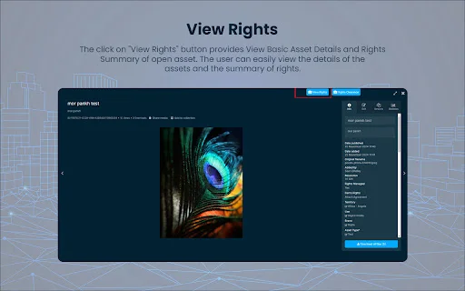 Download Bynder Connector for Brand Vision-Rights Cloud Terbaru - Screenshot 3