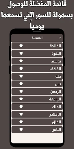 Download Murottal Nasser Al-Qatami Offline – Al-Quran MP3 - Screenshot 3