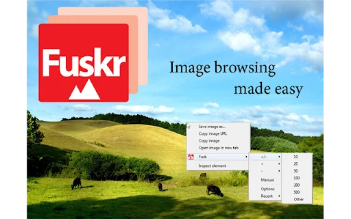Download Fuskr Terbaru – Ekstensi Galeri Foto Otomatis Gratis - Screenshot 1
