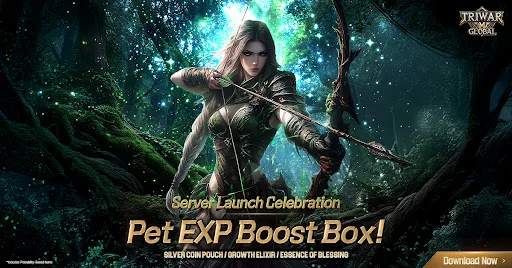 Download TriwarM Global Terbaru – MMORPG Hardcore Terbaik - Screenshot 4