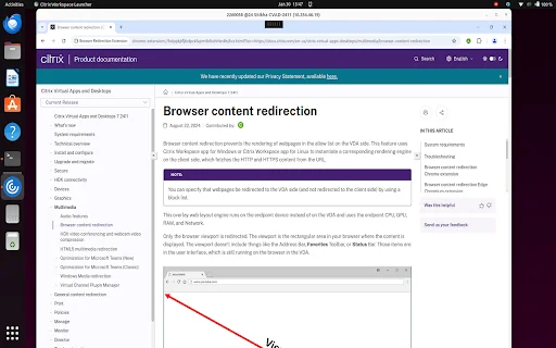 Download Citrix Browser Redirection Extension Terbaru Gratis - Screenshot 2