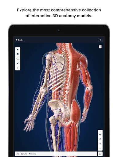 Download BioDigital Human 3D Anatomy Terbaru – Belajar Anatomi - Screenshot 13