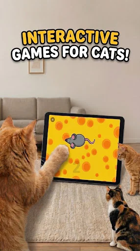 Unduh Games for Cats – Mainan Kucing Terbaru – Gratis Sekarang - Screenshot 11