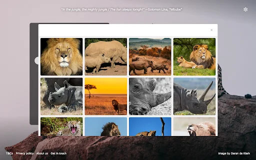 Download Ekstensi The Big 5 Terbaru – Jelajahi Satwa Liar Afrika - Screenshot 2