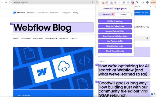 Smart SEO Highlighter: Ekstensi SEO Chrome Terbaik & Gratis - Screenshot 4