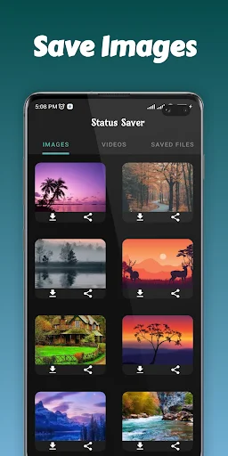 Download Status Saver WA Terbaru – Simpan Video & Foto HD - Screenshot 5