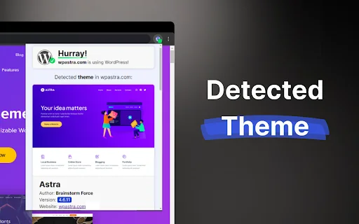 Deteksi Tema & Plugin WordPress Terbaik – Unduh Gratis - Screenshot 1