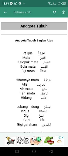 Download Percakapan Bahasa Arab Terbaru – Belajar Lancar Gratis - Screenshot 6