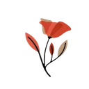 Unduh Flowers Backgrounds Terbaru – Wallpaper Bunga Gratis
