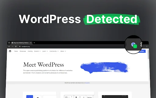 Deteksi Tema & Plugin WordPress Terbaik – Unduh Gratis - Screenshot 3
