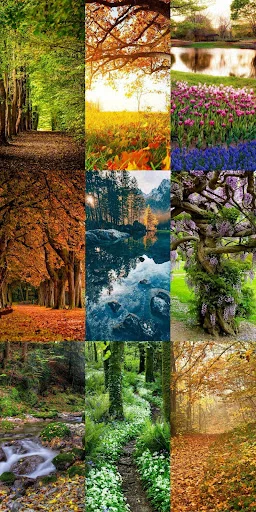 Download Nature Escape HD Wallpapers – Background Alam Gratis - Screenshot 15