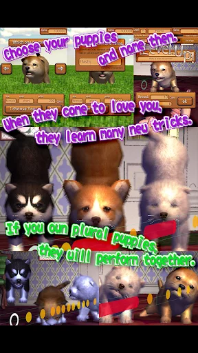 Download Animal Dance Puppies Terbaru – Game Irama Anjing Lucu - Screenshot 4