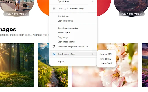Save Image As Type: Simpan Gambar ke JPG, PNG, WebP dengan Mudah - Screenshot 1