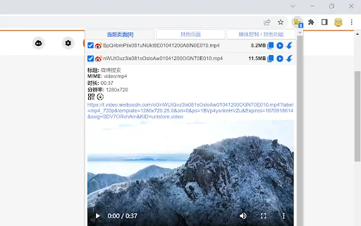 Download Cat-Catch Terbaru – Alat Sniffing Media Web Terbaik - Screenshot 1