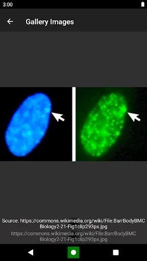Download Genetics Terbaru – Belajar Biologi & DNA Lebih Mudah - Screenshot 5