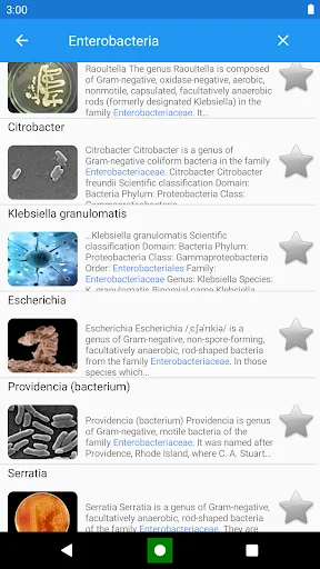 Download Bacteria: Types, Infections Terbaru – Belajar Mikrobiologi - Screenshot 8