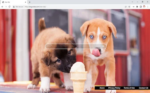 Download Dog Cuties Chrome Extension – Wallpaper Anjing Lucu - Screenshot 1