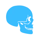 Download Fun with Anatomy 3D Terbaru – Belajar Tulang Gratis