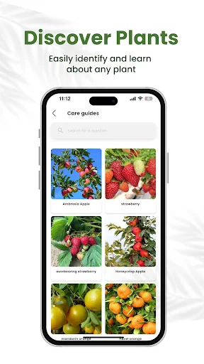 Download Planty Life – Identifikasi Tanaman & Tips Perawatan - Screenshot 6