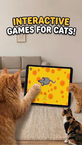 Unduh Games for Cats – Mainan Kucing Terbaru – Gratis Sekarang - Screenshot 1
