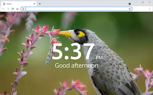 Unduh Home page by Scott – Tampilan Baru Setiap Hari Gratis - Screenshot 1