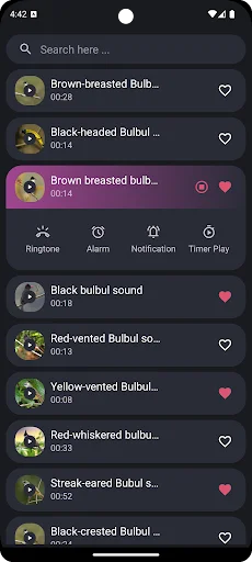 Download Suara Burung Kutilang Terbaru – Koleksi Kicau Gratis - Screenshot 2