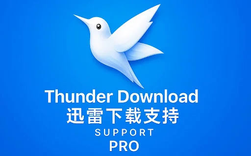 Thunder Download Support Pro – Unduh File & Video Cepat - Screenshot 1