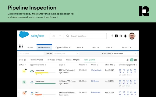 Download Revenue Grid untuk Salesforce & Gmail Terbaru - Screenshot 2