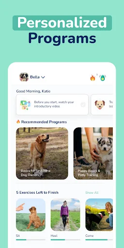 Download Hundeo – Latihan Anjing & Trik Terbaru Gratis - Screenshot 2