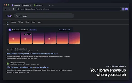 Immich Companion: Simpan Gambar & Kelola Galeri di Browser - Screenshot 4