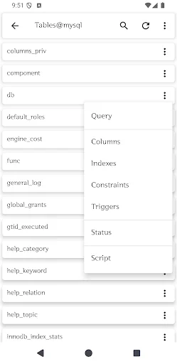 Download MySQL Viewer Terbaru – Klien Database Aman & Cepat - Screenshot 4