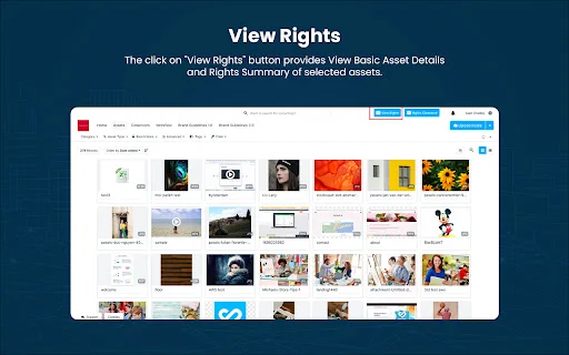 Download Bynder Connector for Brand Vision-Rights Cloud Terbaru - Screenshot 1