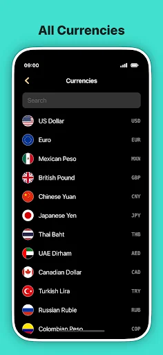 Download Currency Converter Neo Offline – Kalkulator Kurs Valas - Screenshot 2