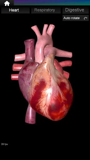 Download Internal Organs in 3D Anatomy Terbaru – Belajar Anatomi - Screenshot 24