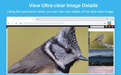 Download Photo Zoom Terbaru – Lihat Gambar HD Tanpa Klik - Screenshot 2