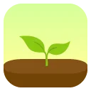 Download Forest: Stay Focused – Tingkatkan Fokus Anda Sekarang