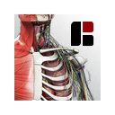 Download BioDigital Human Terbaru – Visualisasi Anatomi 3D