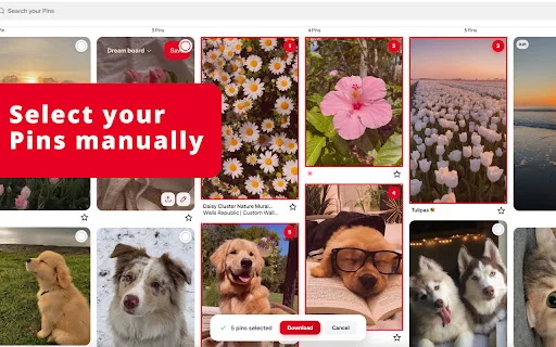 PinBoardSaver: Download Board Pinterest ke ZIP Tercepat - Screenshot 4